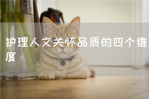 護(hù)理人文關(guān)懷品質(zhì)的四個維度(圖1)
