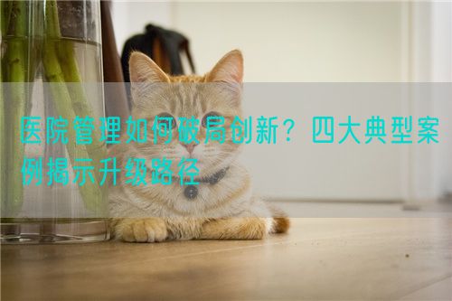 醫(yī)院管理如何破局創(chuàng)新？四大典型案例揭示升級路徑(圖1)