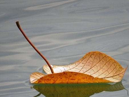 醫(yī)院績(jī)效考核怎么保持合理的可持續(xù)性？(圖1)